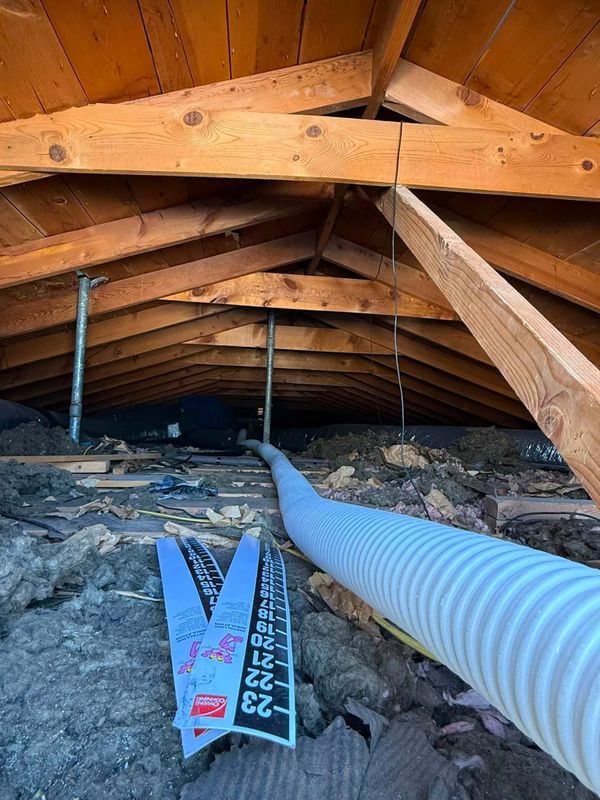 Attic Insulation