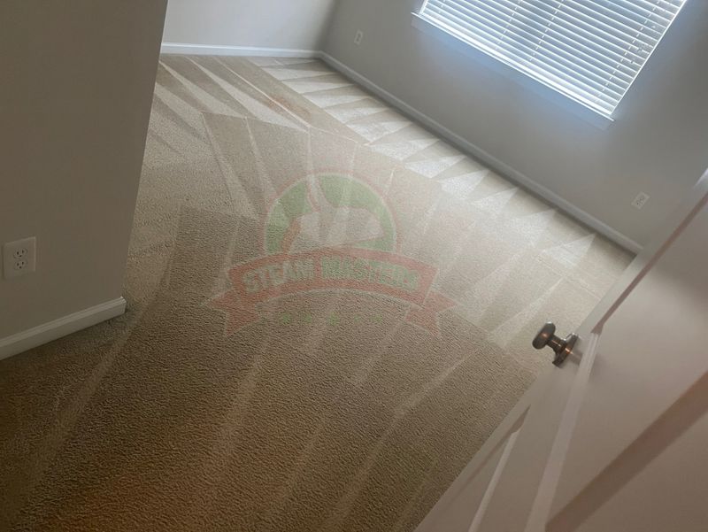 Carpet Cleaning