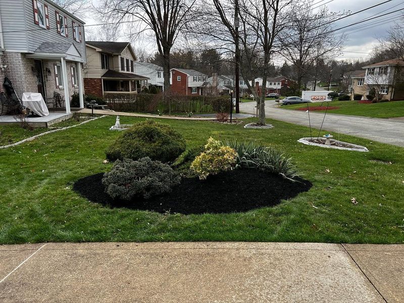 Lawn Maintenance