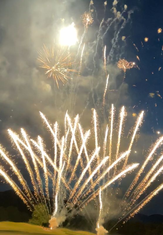 South Carolina consumer fireworks laws