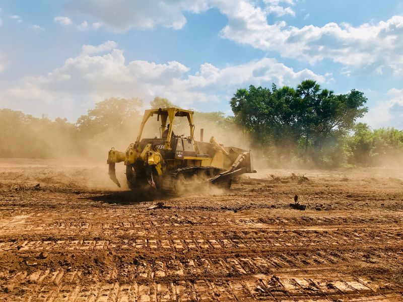Lot Clearing