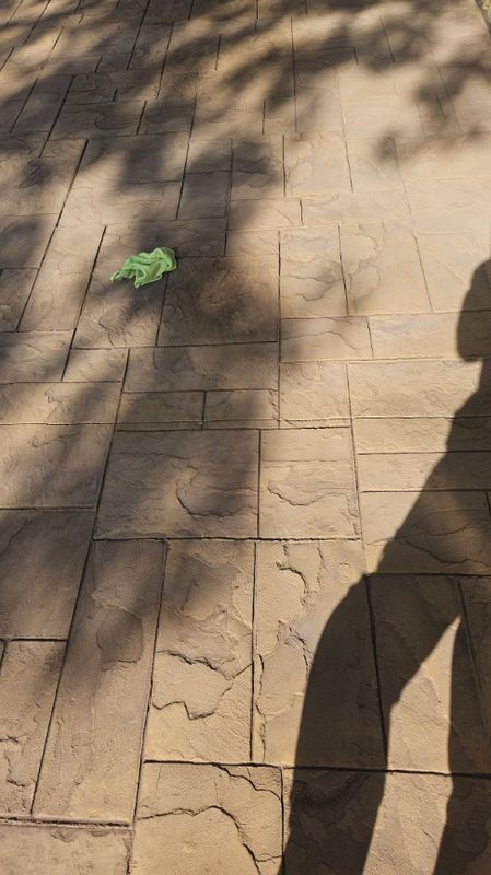 Stamped Concrete