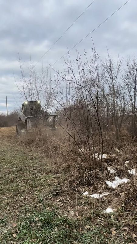 Land Clearing