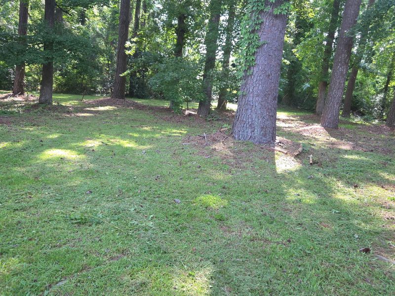 Routine Lawn Maintenance