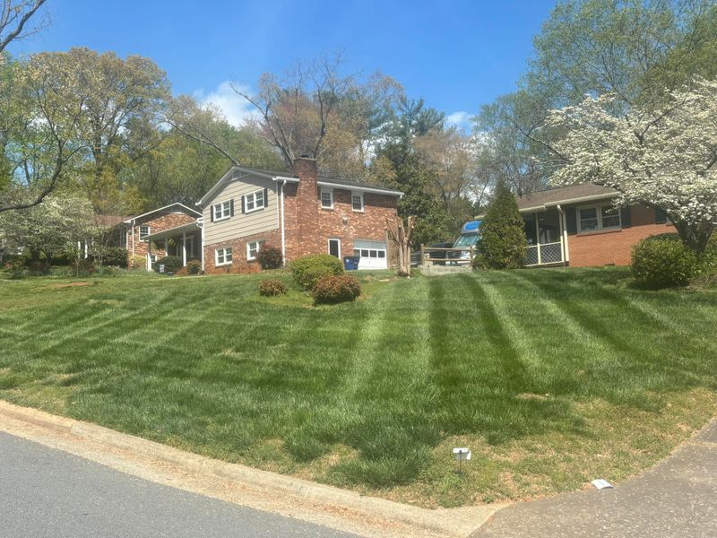 Fall Clean Up