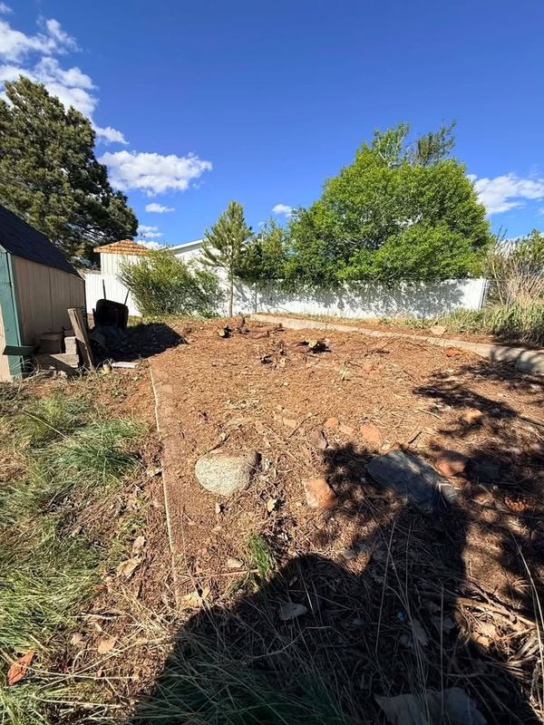 Stump Removal