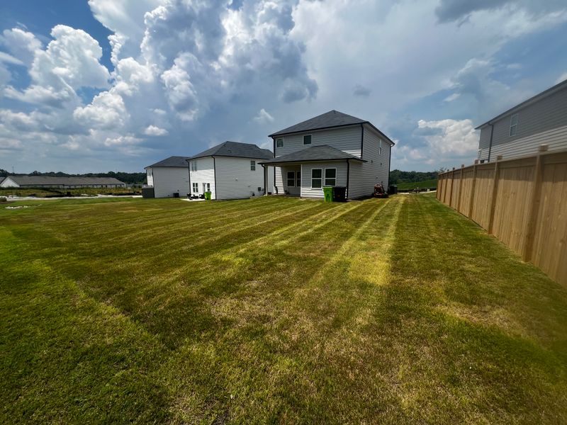 Lawn Care and Maintenance
