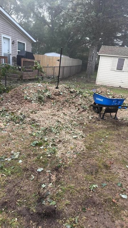 Tree Removal