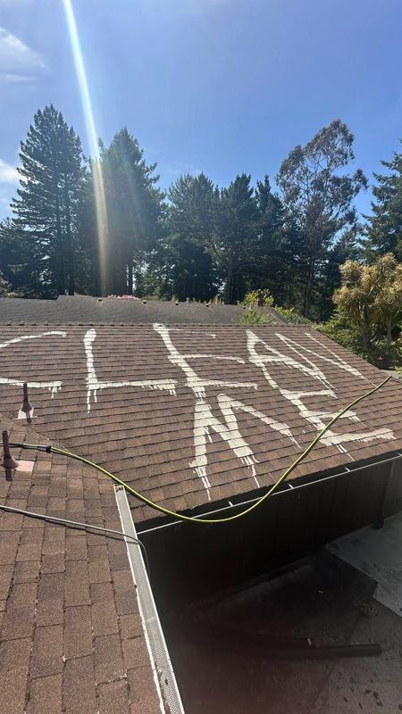 Roof Cleaning