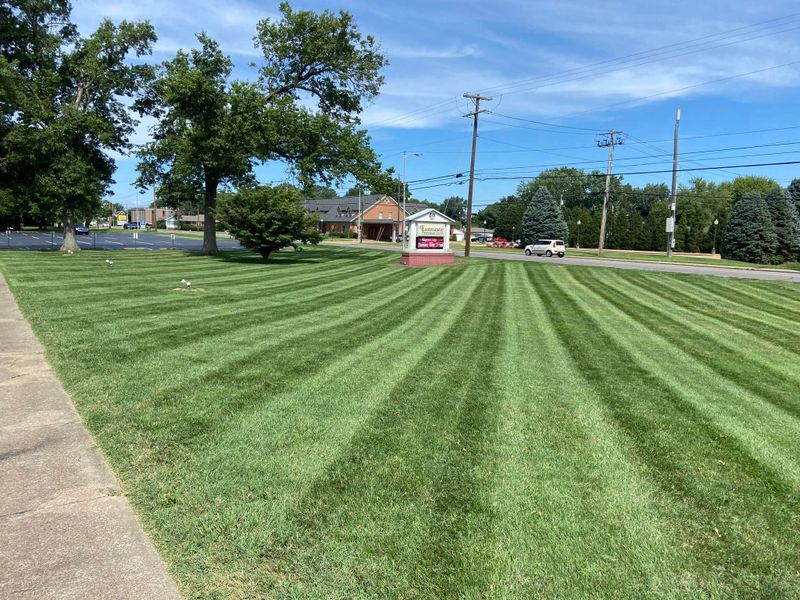 Lawn Mowing