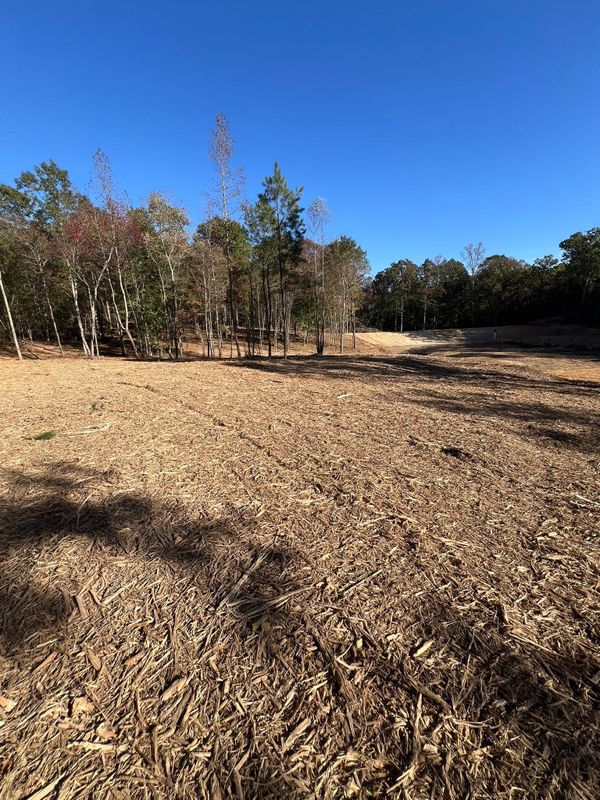 Land Clearing