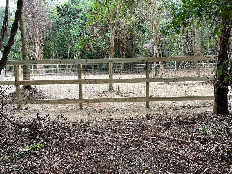 Fences