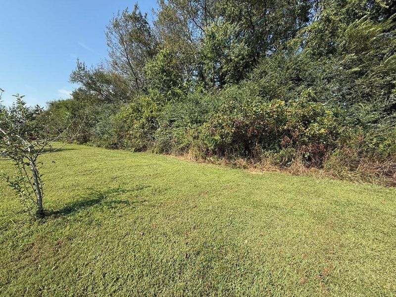 Transforming Overgrown Terrain into Usable Land: Heart Shake's Expert Excavation Success