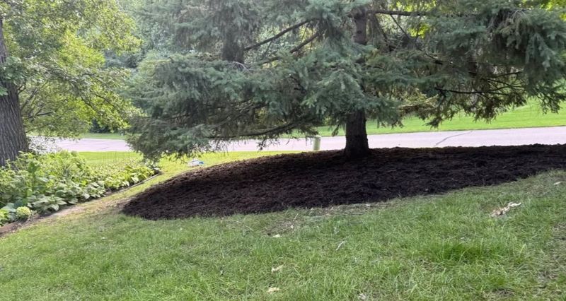 Detailed Weeding
