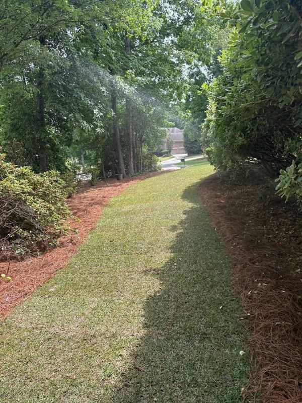 Lawn Maintenance