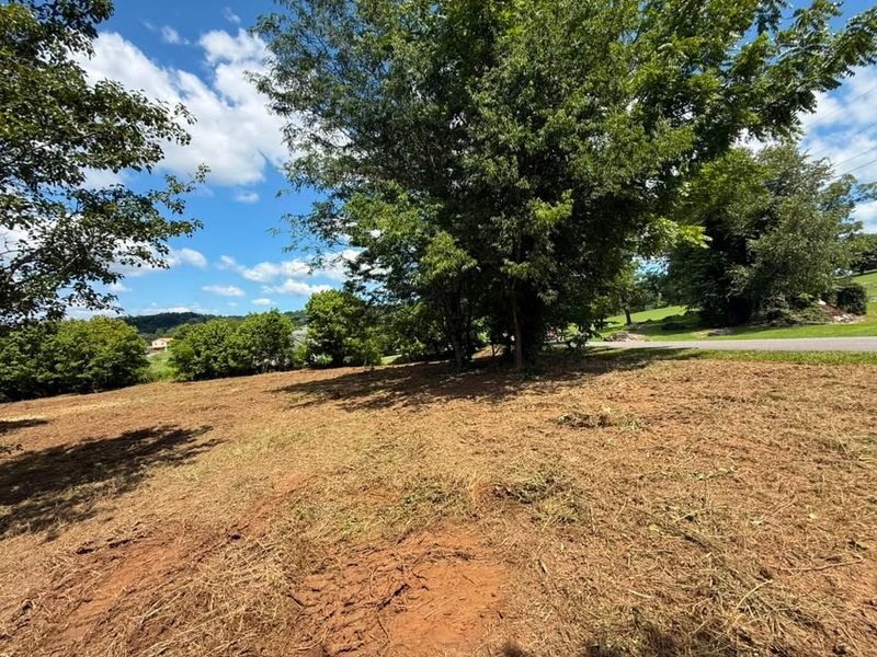 Land Clearing