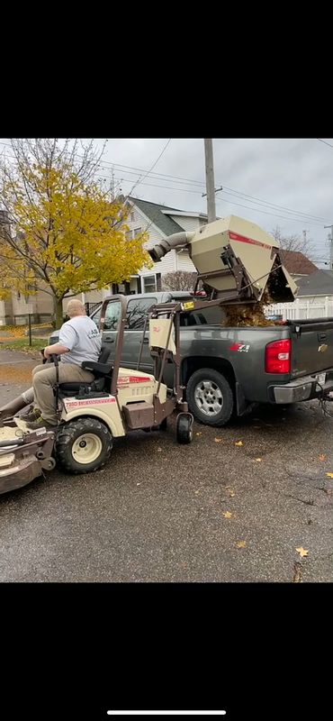 Fall Clean Up