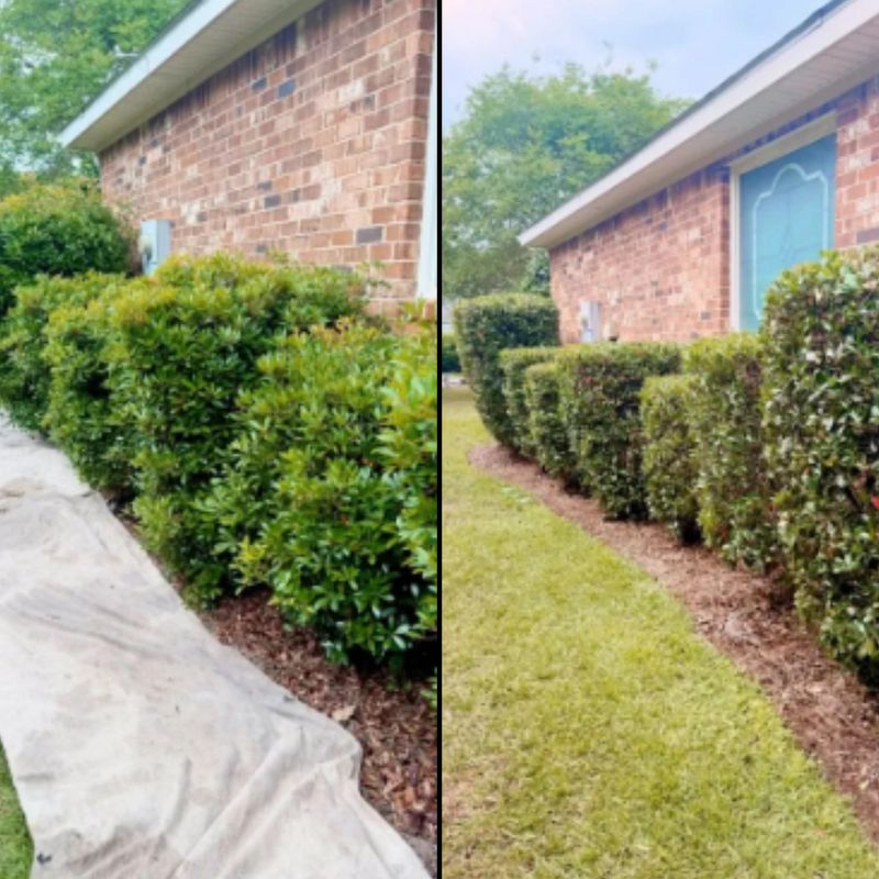 Landscape Bed Maintenance