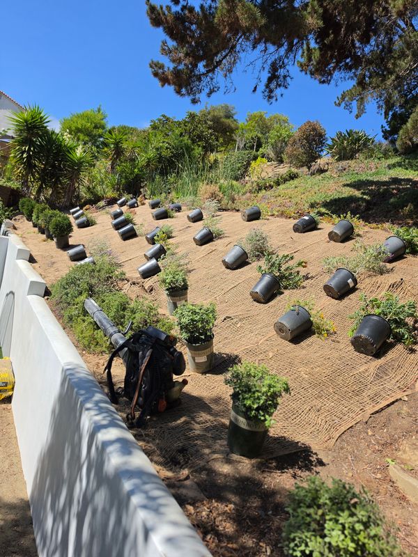 Erosion Control
