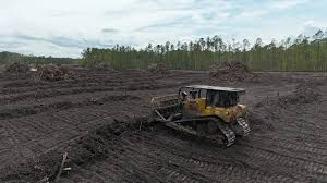 Land Clearing