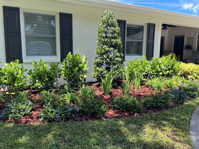 Landscape Design and Installation