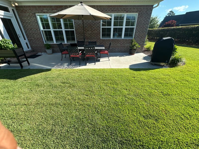 Patio Design & Construction