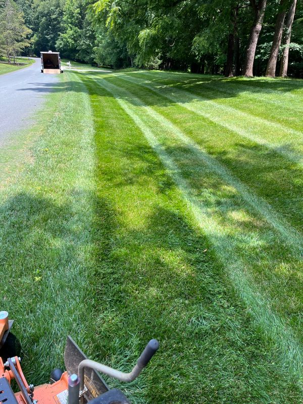 Lawn Mowing