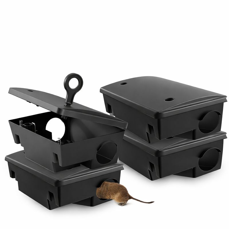 Rats