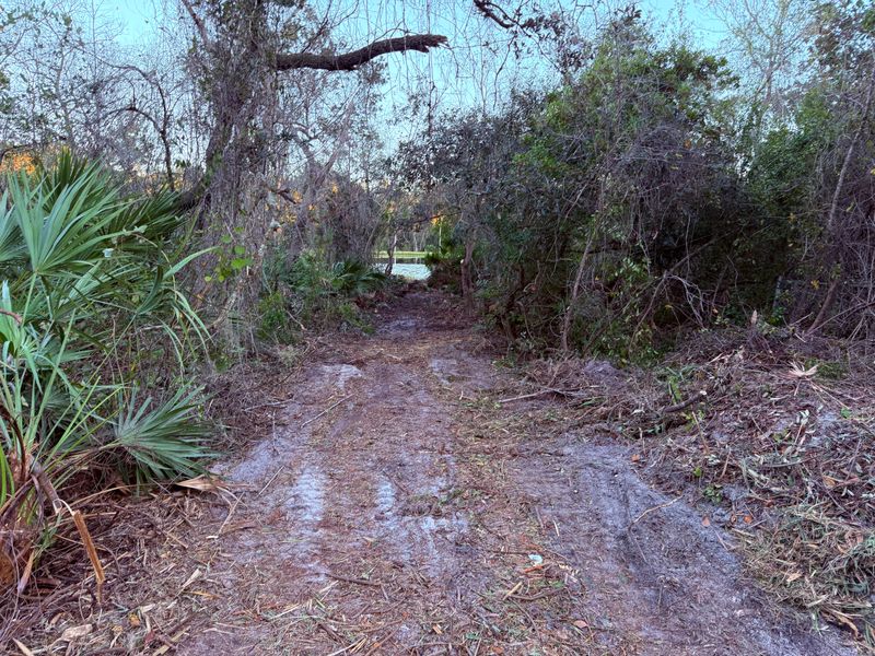 Land Clearing