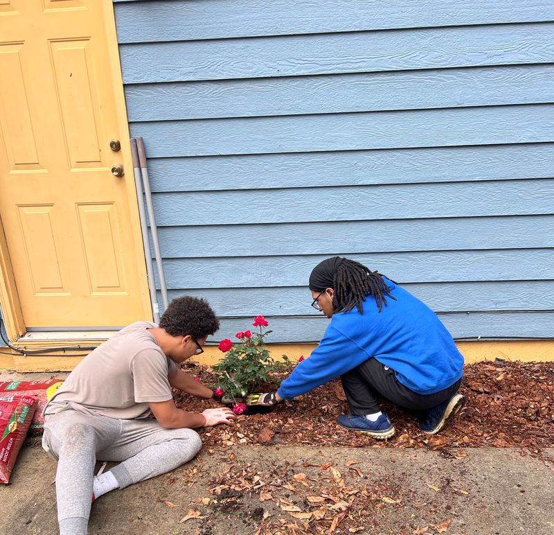 Flower Bed Installation