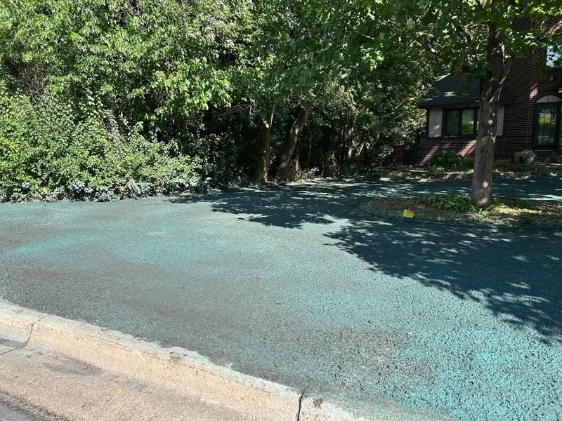 Hydroseeding