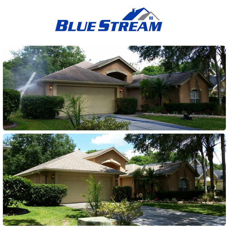 Shingle Roof Cleaning