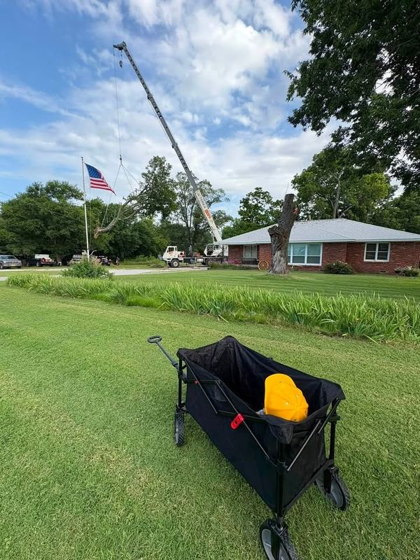 Tree Removal