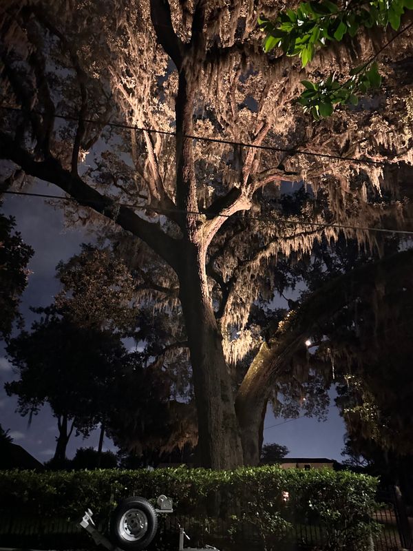 Landscape Lighting 
