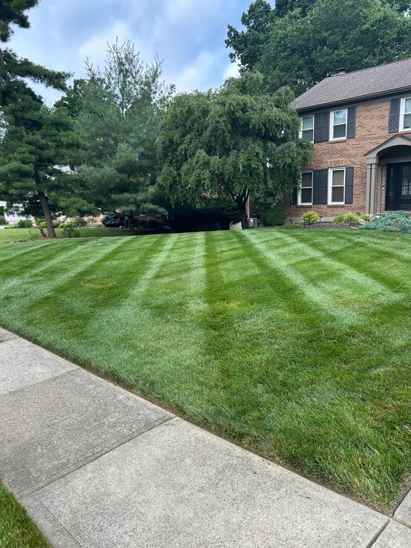 Our Mowing
