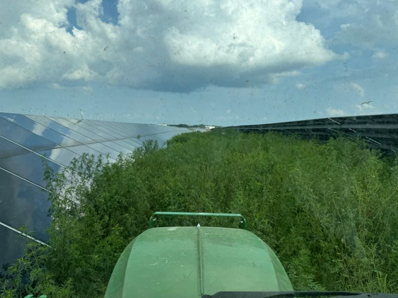 Land Managment 