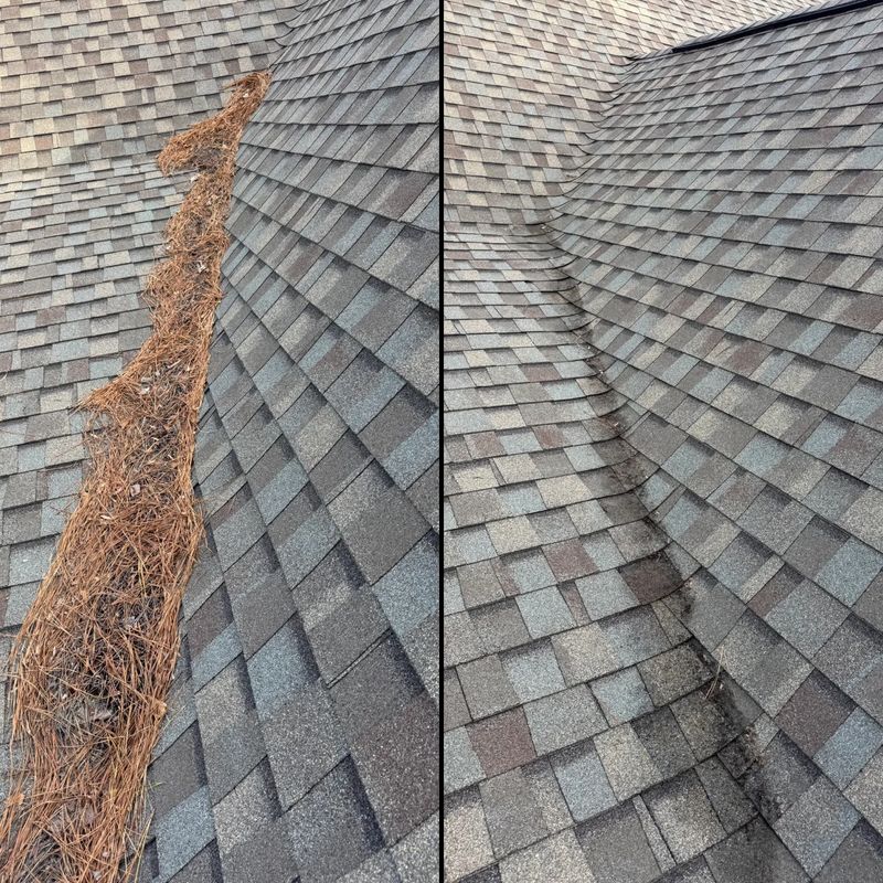 Gutter Cleaning 