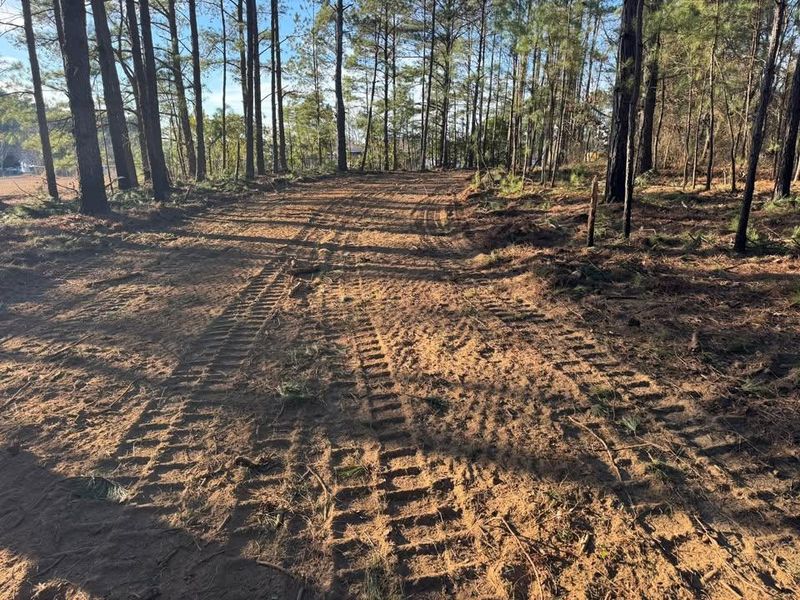 Land Clearing