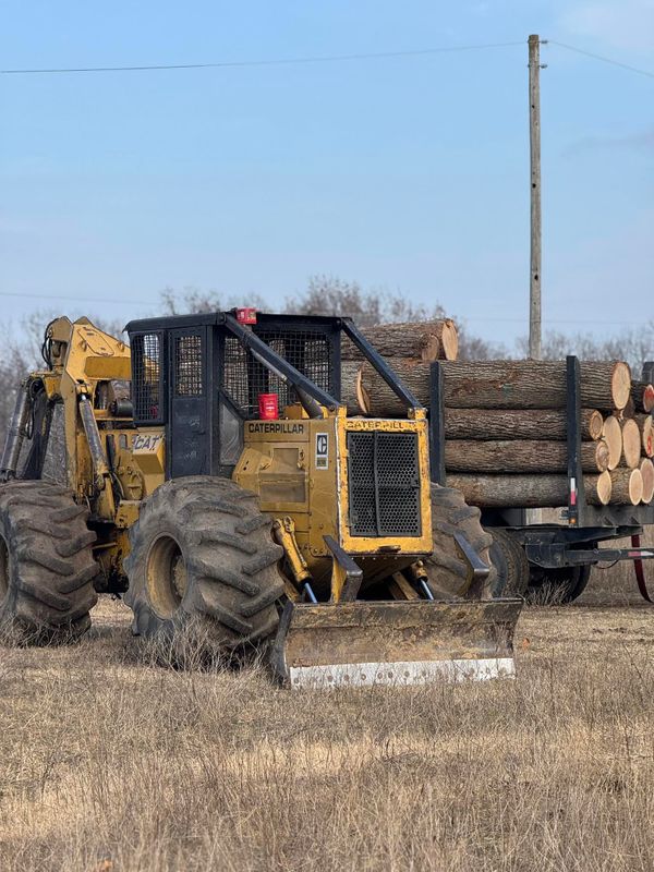 Timber Harvest