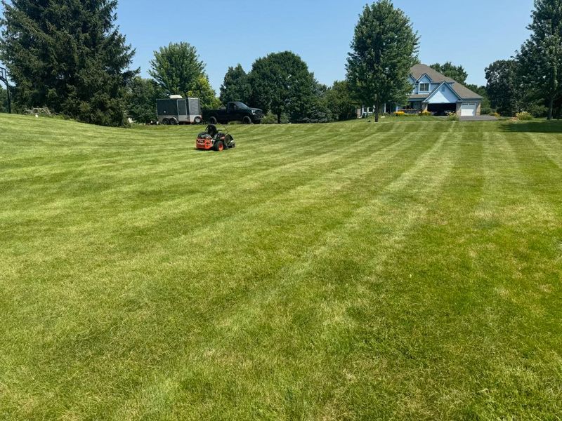 Lawn Mowing