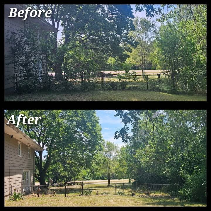 Yard Cleanup