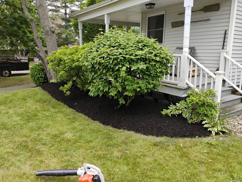Lawn Maintenance