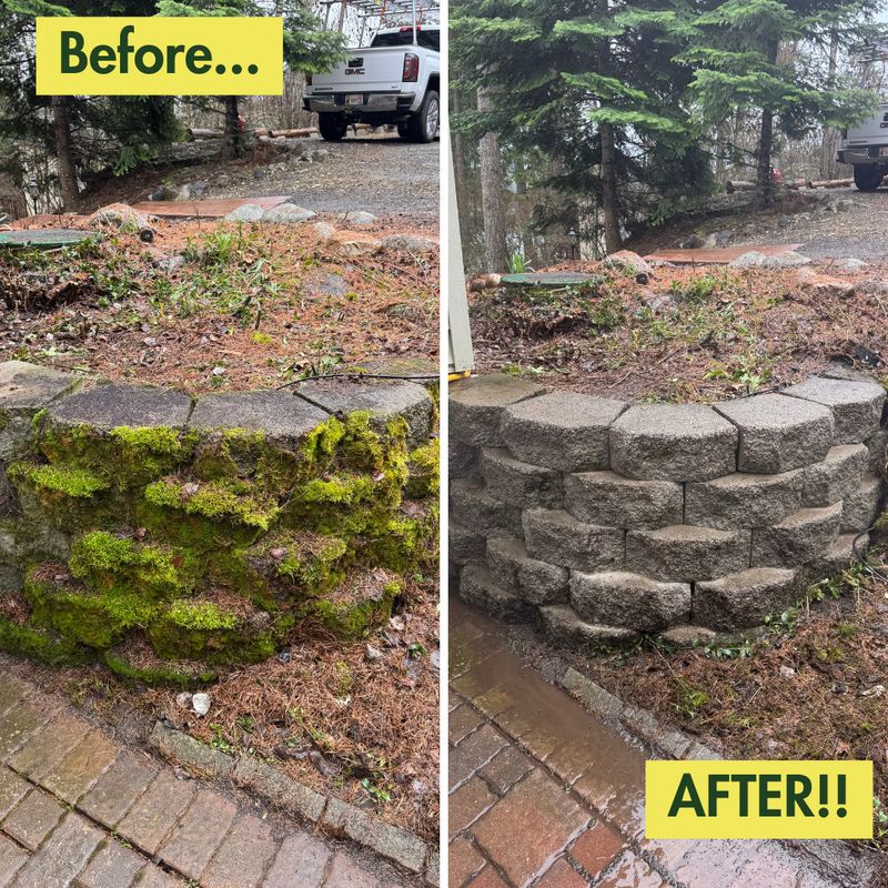 Before & After Photos