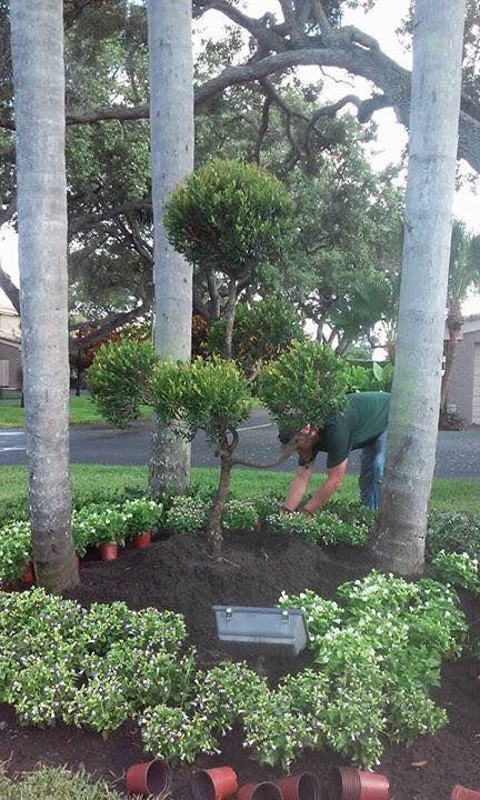 Landscaping