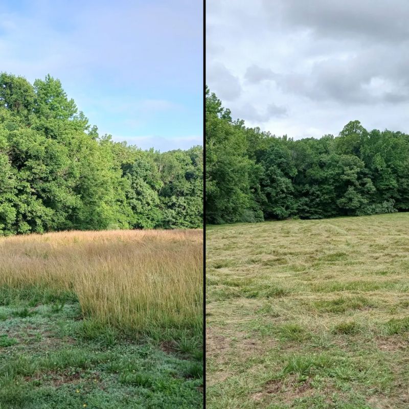 Land Clearing
