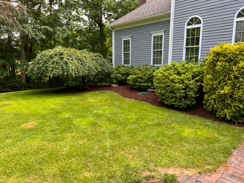 Outdoor Projects