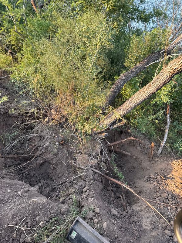 Land Clearing & Demolition