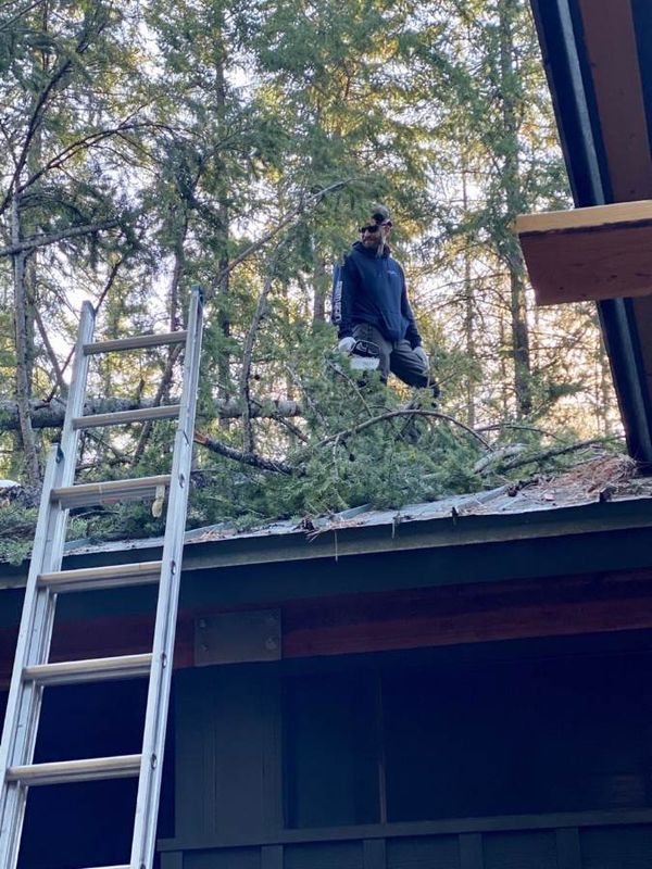 Tree Trimming and Removal