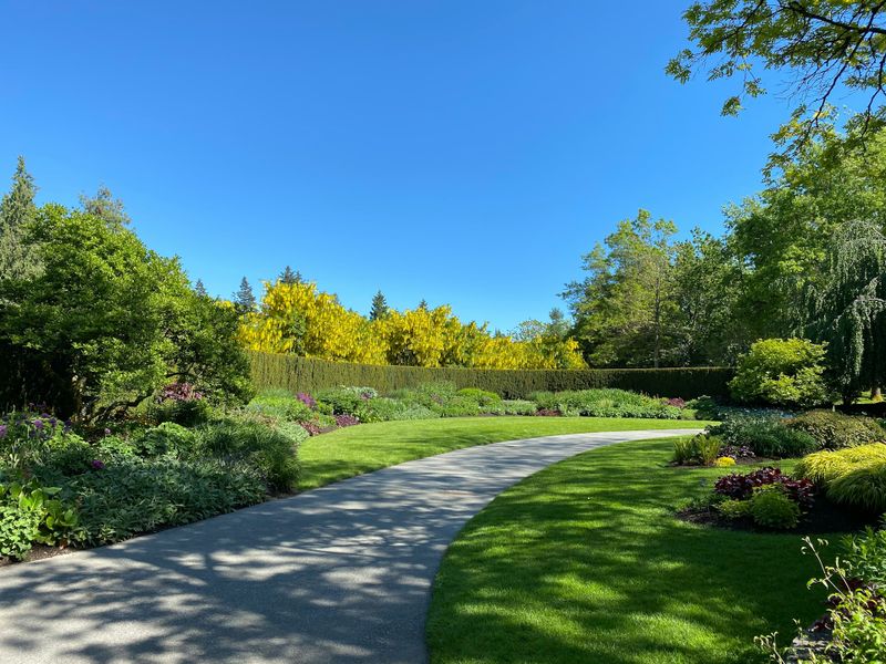 Lawn Maintenance