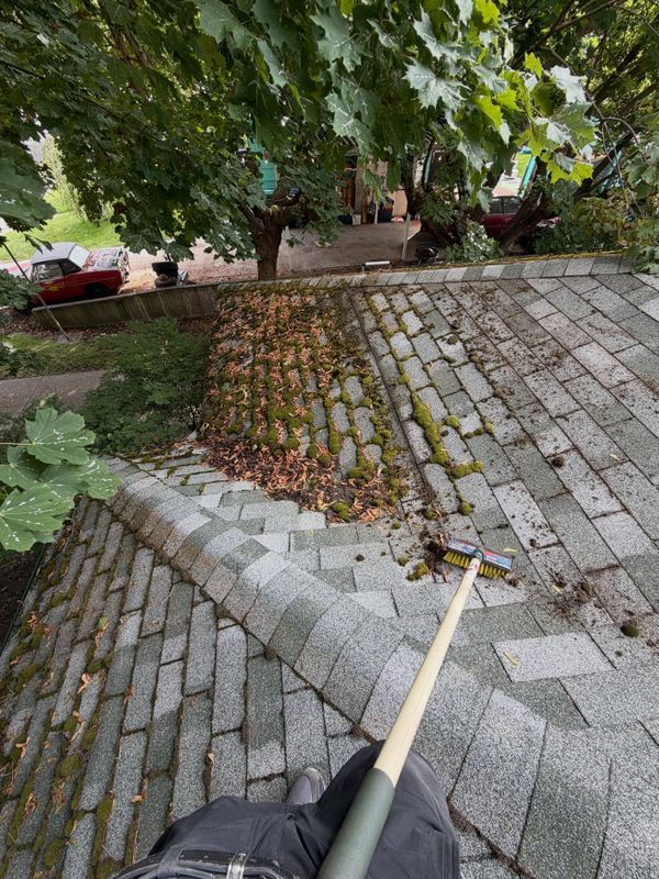 Roof Cleaning